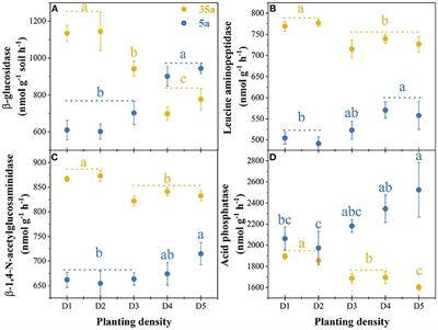 Adaptive Pathways of Microorganisms to Cope With the Shift From P- to N-Limitation in Subtropical Plantations